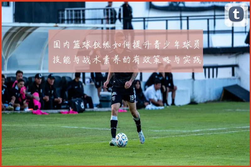 国内篮球教练如何提升青少年球员技能与战术素养的有效策略与实践探索