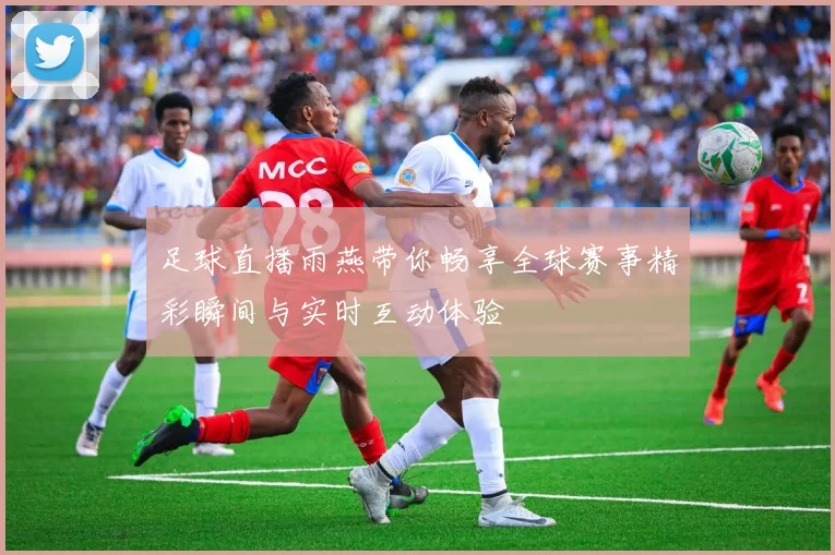 足球直播雨燕带你畅享全球赛事精彩瞬间与实时互动体验