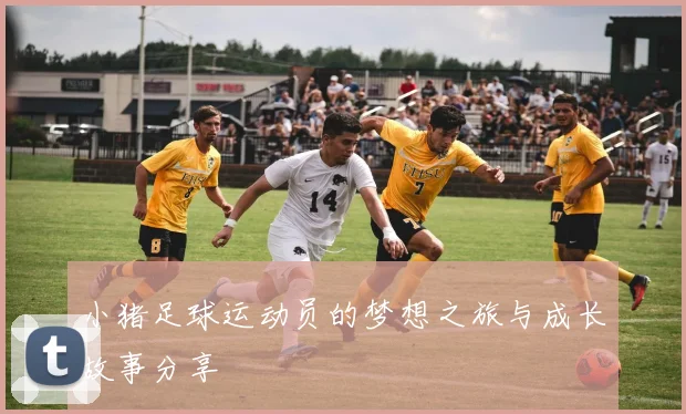 小猪足球运动员的梦想之旅与成长故事分享